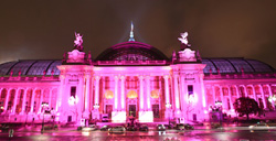 GrandPalaisrosePT