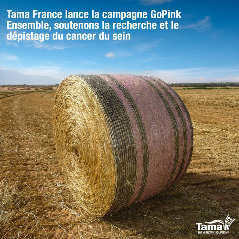 tama go pink 1