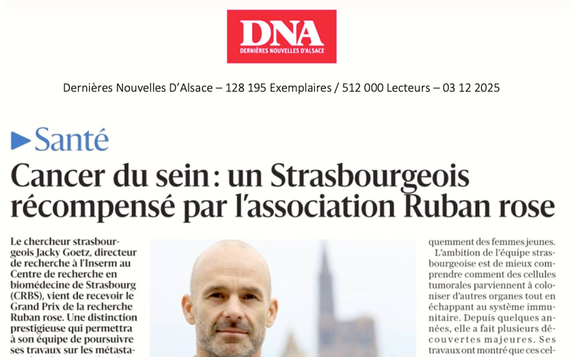 Dna 2025